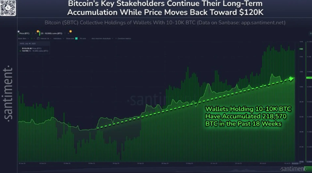 比特币鲸鱼自3月以来积累了218，000 BTC ...... 占总供应量的68.44%